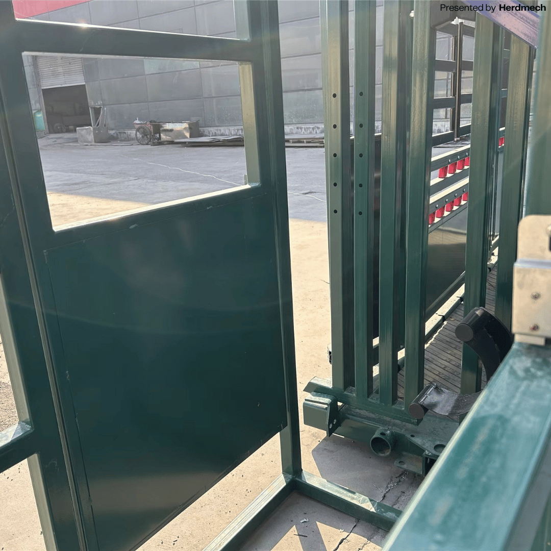 Heavy Duty Cattle Crush (BDJ-138) - High-Strength Steel Livestock Handling Chute