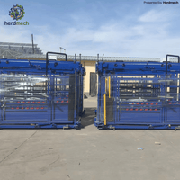 Heavy Duty Cattle Crush (BDJ-138) - High-Strength Steel Livestock Handling Chute
