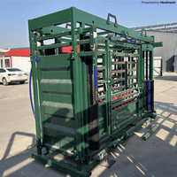 Heavy Duty Cattle Crush (BDJ-138) - High-Strength Steel Livestock Handling Chute