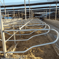 Cow Cubicle Partitions | Head-to-Head Free Stall System