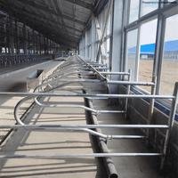 Cow Cubicle Partitions | Head-to-Head Free Stall System