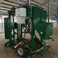 1200KG Cattle Hoof Trimming Chute – Electric Motor & Adjustable Front Door