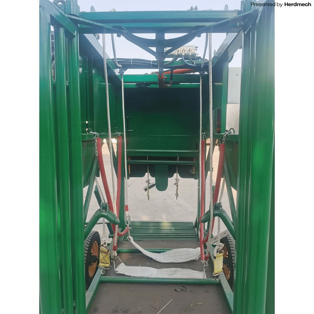 1200KG Cattle Hoof Trimming Chute – Electric Motor & Adjustable Front Door