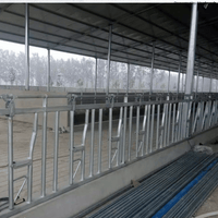 Self-Locking Cattle Head Lock | Adjustable 20ft